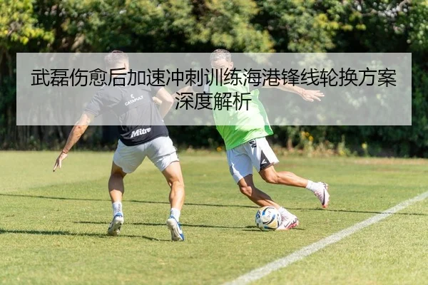武磊伤愈后加速冲刺训练海港锋线轮换方案深度解析
