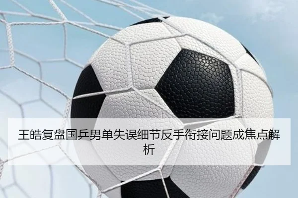 王皓复盘国乒男单失误细节反手衔接问题成焦点解析